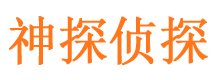 马龙侦探公司